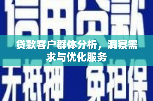 集贤贷款客户群体分析，洞察需求与优化服务