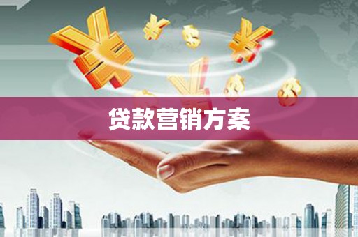 集贤贷款营销方案
